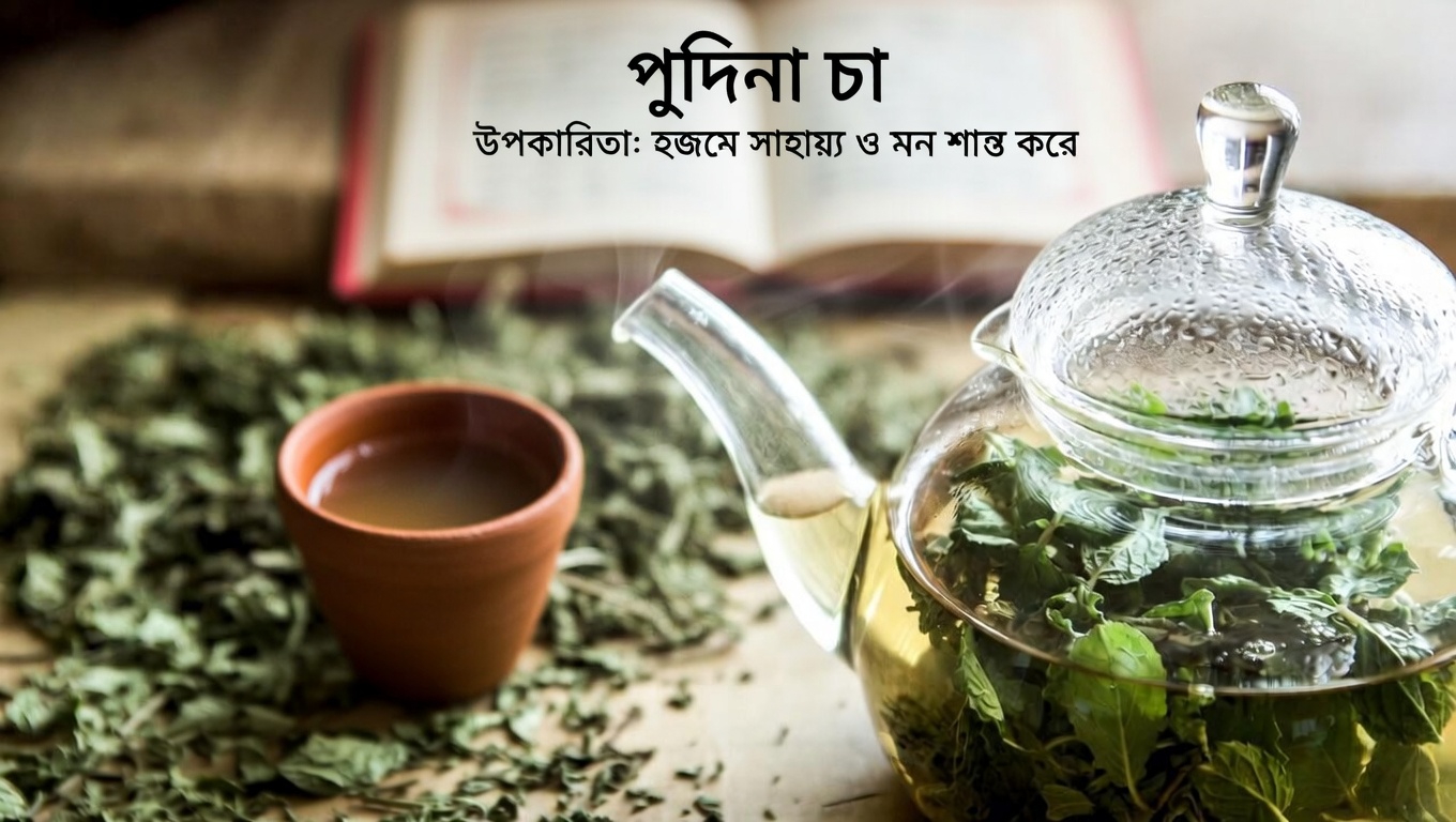 পেপারমিন্ট চা: রক্তসঞ্চালন ও হৃদ্স্বাস্থ্যের প্রাকৃতিক সহায়তা অন্বেষণের দৈনন্দিন উপায়গুলো