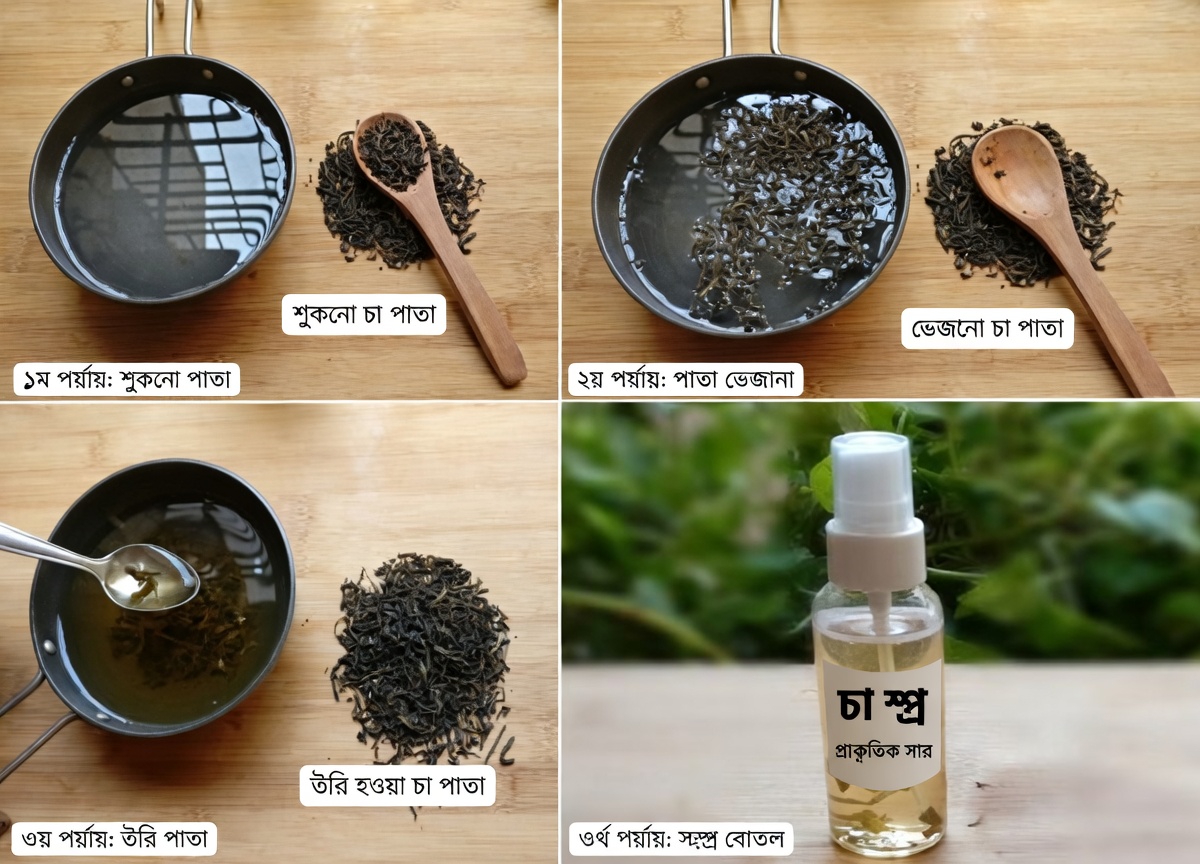 আমি কীভাবে গ্রিন টি-কে প্রাকৃতিক সৌন্দর্য পণ্য হিসেবে ব্যবহার করি: উজ্জ্বল ত্বক পান, কালো দাগ দূর করুন এবং বড় পোরস ছোট করুন নখের যত্নের পণ্য শরীরের যত্নের পণ্য