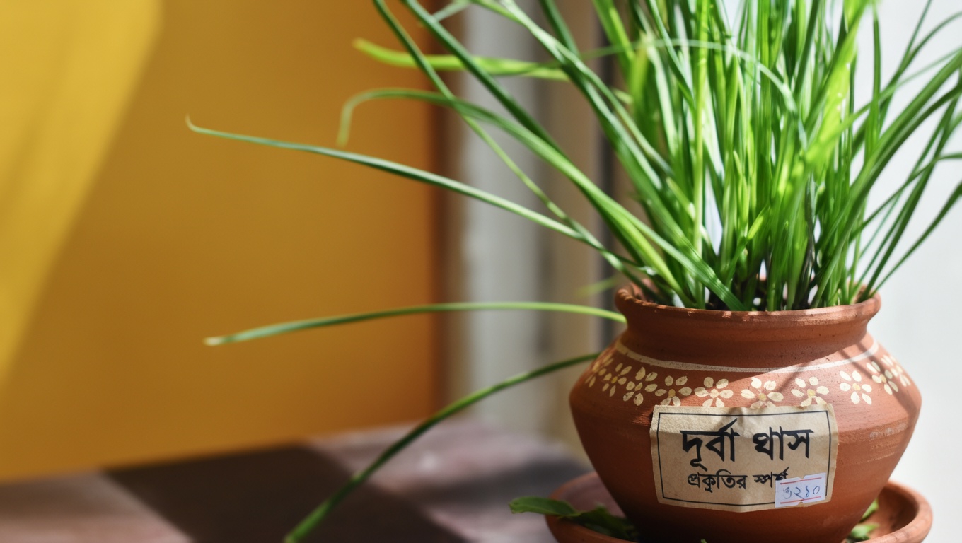 প্রাকৃতিক কীটপতঙ্গ নিয়ন্ত্রণ: এফিড ও শামুক দূরে রাখতে ঝাল লাল মরিচের ব্যবহার