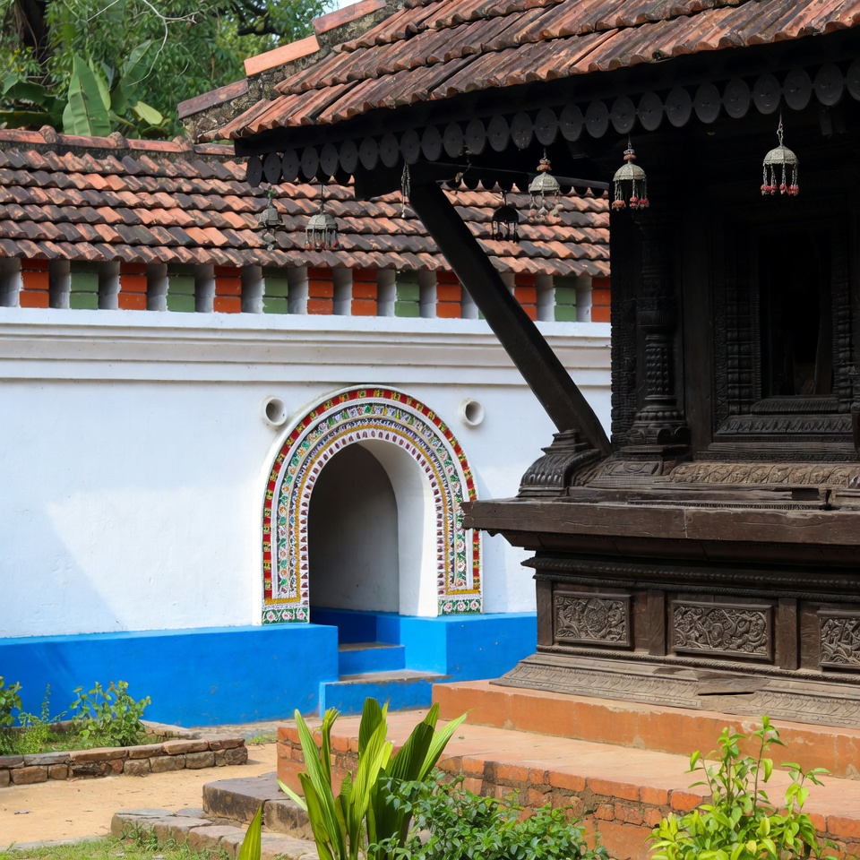 বিখ্যাত ডাক্তার পরামর্শ দেন: পরজীবীর বিরুদ্ধে লড়তে পানিতে কুমড়োর বীজ