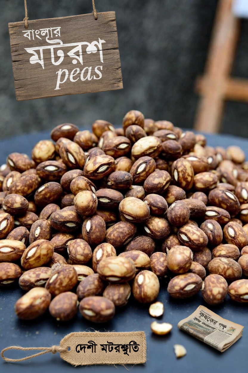 ৪টি ভিটামিন আবিষ্কার করুন যা ৪৫-এর পর স্বাভাবিকভাবে হৃদ্‌স্বাস্থ্যকে সহায়তা করতে পারে