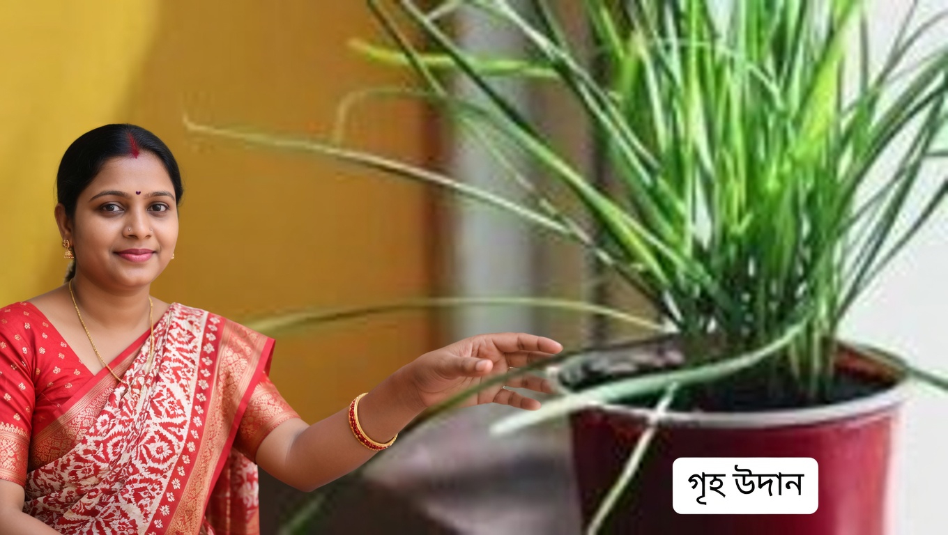 ডুমুর পাতার শক্তিকে কাজে লাগানো: ডায়াবেটিস এবং আরও অনেক কিছুর প্রাকৃতিক প্রতিকার