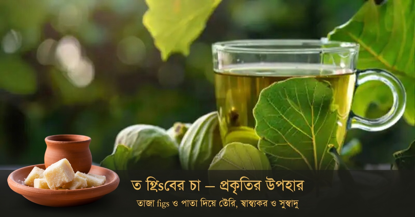 ডুমুর পাতার শক্তিকে কাজে লাগানো: ডায়াবেটিস এবং আরও অনেক কিছুর প্রাকৃতিক প্রতিকার