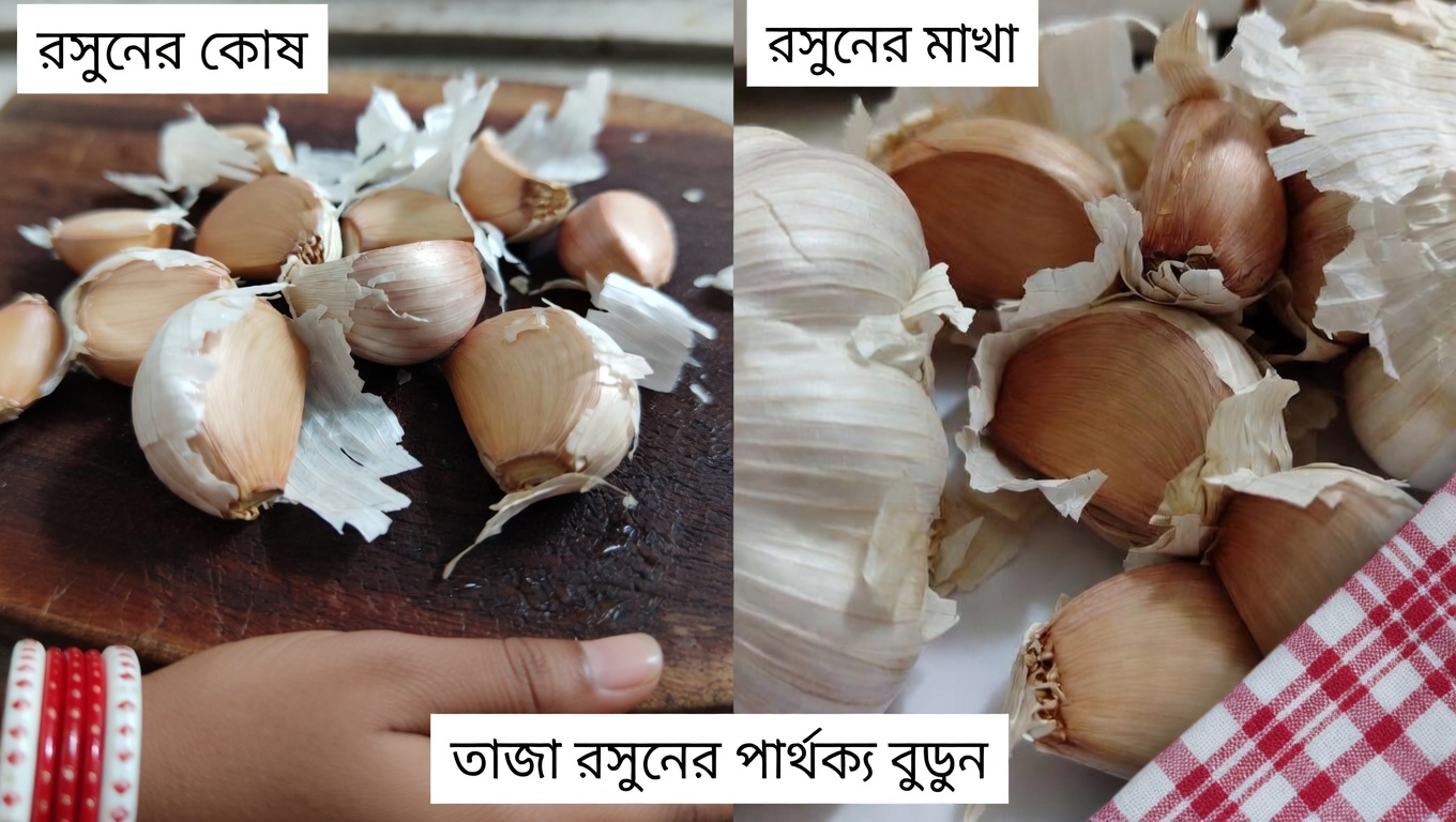 রসুন ও লবঙ্গ দিয়ে পায়ের আরাম ও রক্তসঞ্চালন সমর্থনে সহজ অভ্যাসগুলো অন্বেষণ