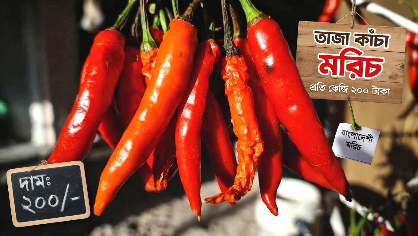 বয়স্করা: পা ও পায়ের পাতার রক্তসঞ্চালন সমর্থনে ঘুমানোর আগে কায়েন মরিচ যোগ করলে কী ঘটতে পারে?