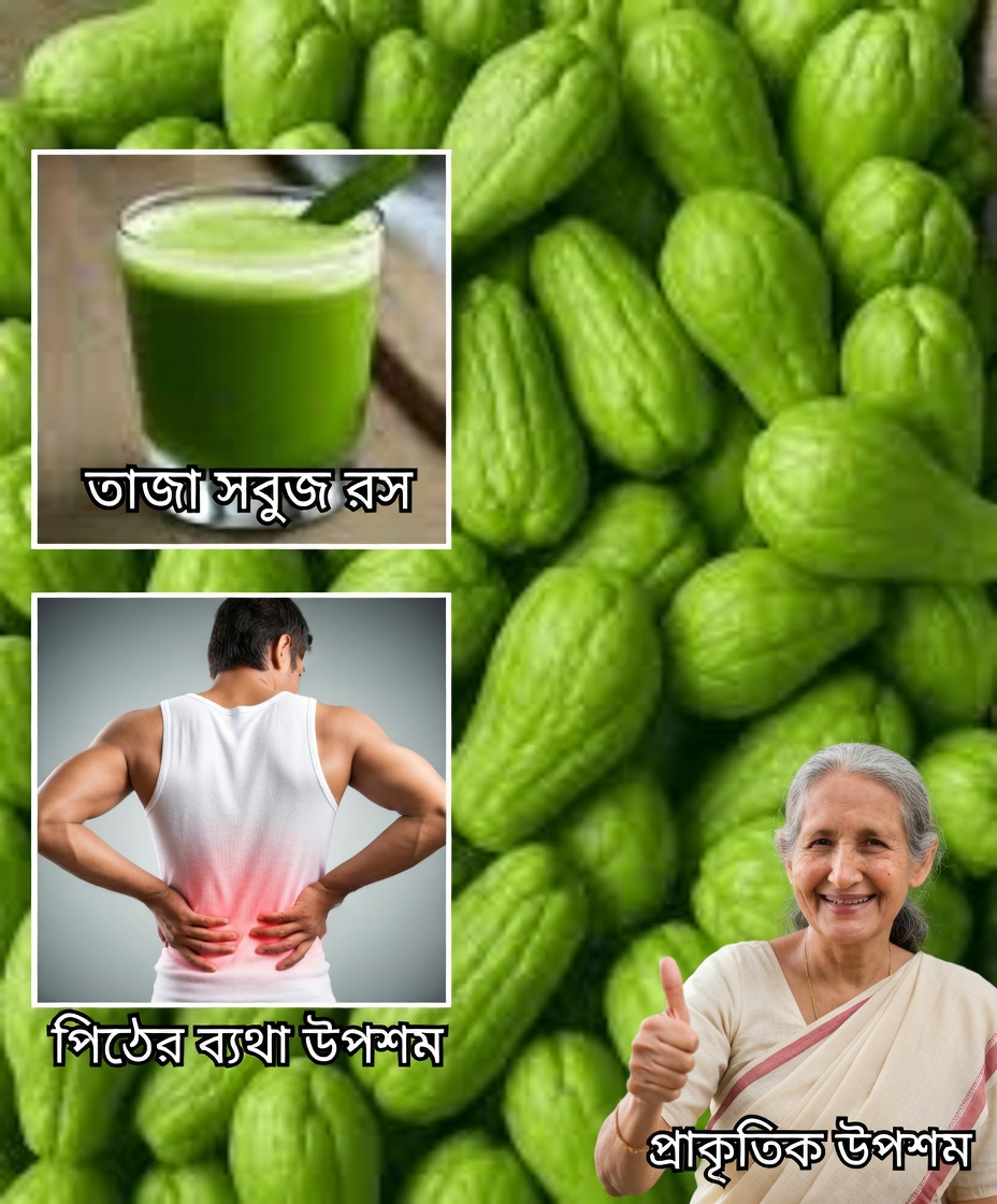 চায়োটে স্কোয়াশ: আরও ভালো সুস্থতা ও প্রাণশক্তির জন্য আপনার দৈনন্দিন রুটিনে একটি সহজ সংযোজন