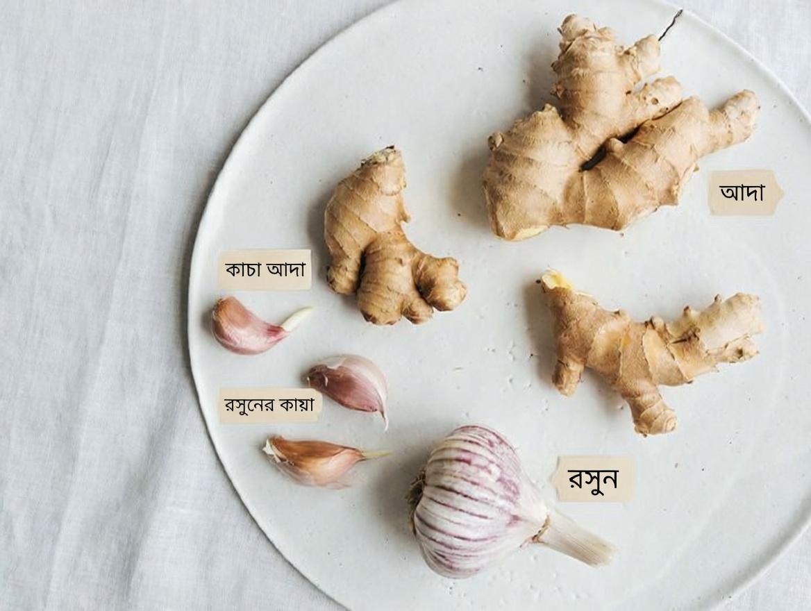 হৃদ্স্বাস্থ্যের সহায়তায় আপনার খাদ্যতালিকায় রসুন, আদা, লেবু ও পুদিনা সহজে অন্তর্ভুক্ত করার উপায় আবিষ্কার করুন