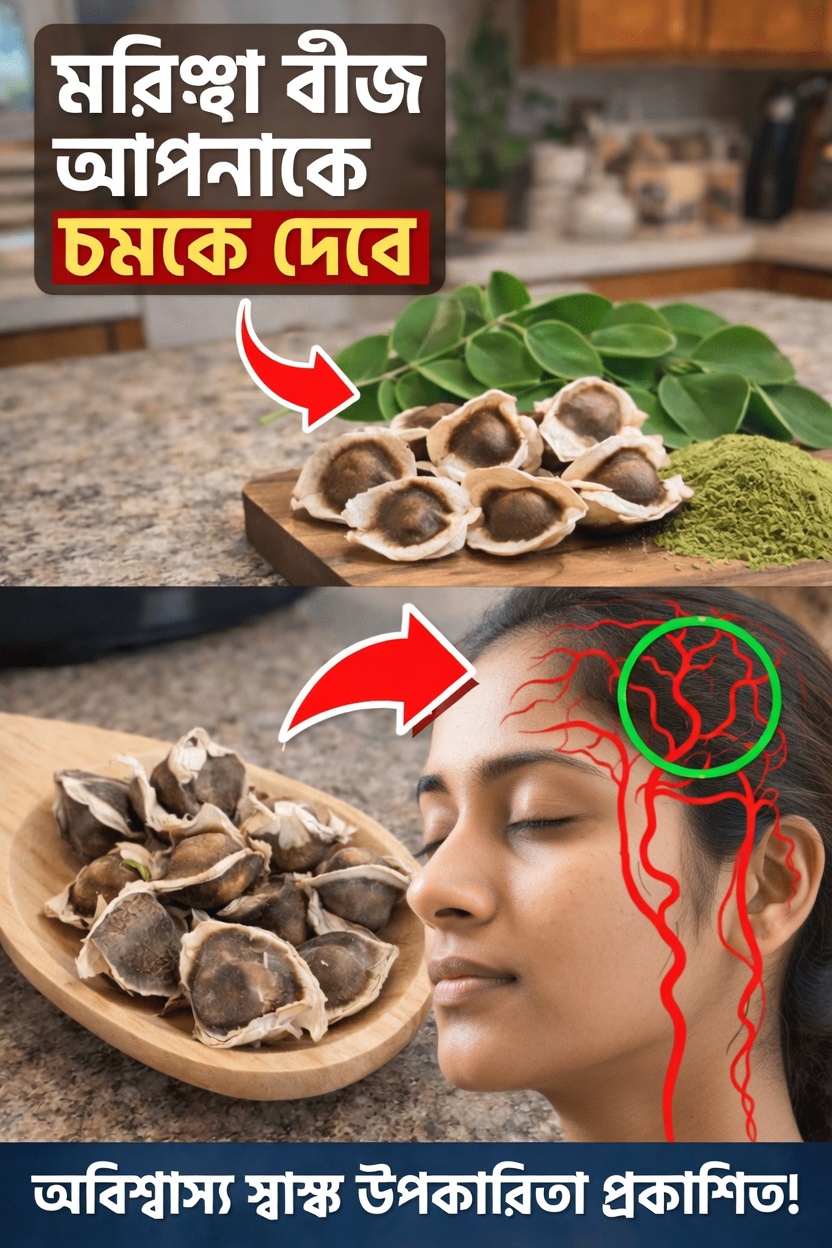মরিঙ্গা বীজের সম্ভাব্য পুষ্টিগুণ কী কী? এই পুষ্টিসমৃদ্ধ সুপারফুডটির আরও নিবিড় পর্যালোচনা