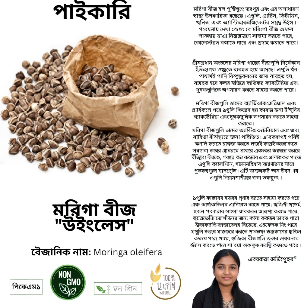 মরিঙ্গা বীজের সম্ভাব্য পুষ্টিগুণ কী কী? এই পুষ্টিসমৃদ্ধ সুপারফুডটির আরও নিবিড় পর্যালোচনা