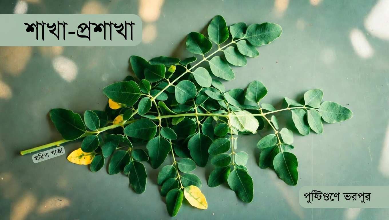 তিনটি পুষ্টিসমৃদ্ধ পাতা যা আপনার শরীরের প্রাকৃতিক প্রতিরক্ষা ব্যবস্থাকে সমর্থন করতে পারে