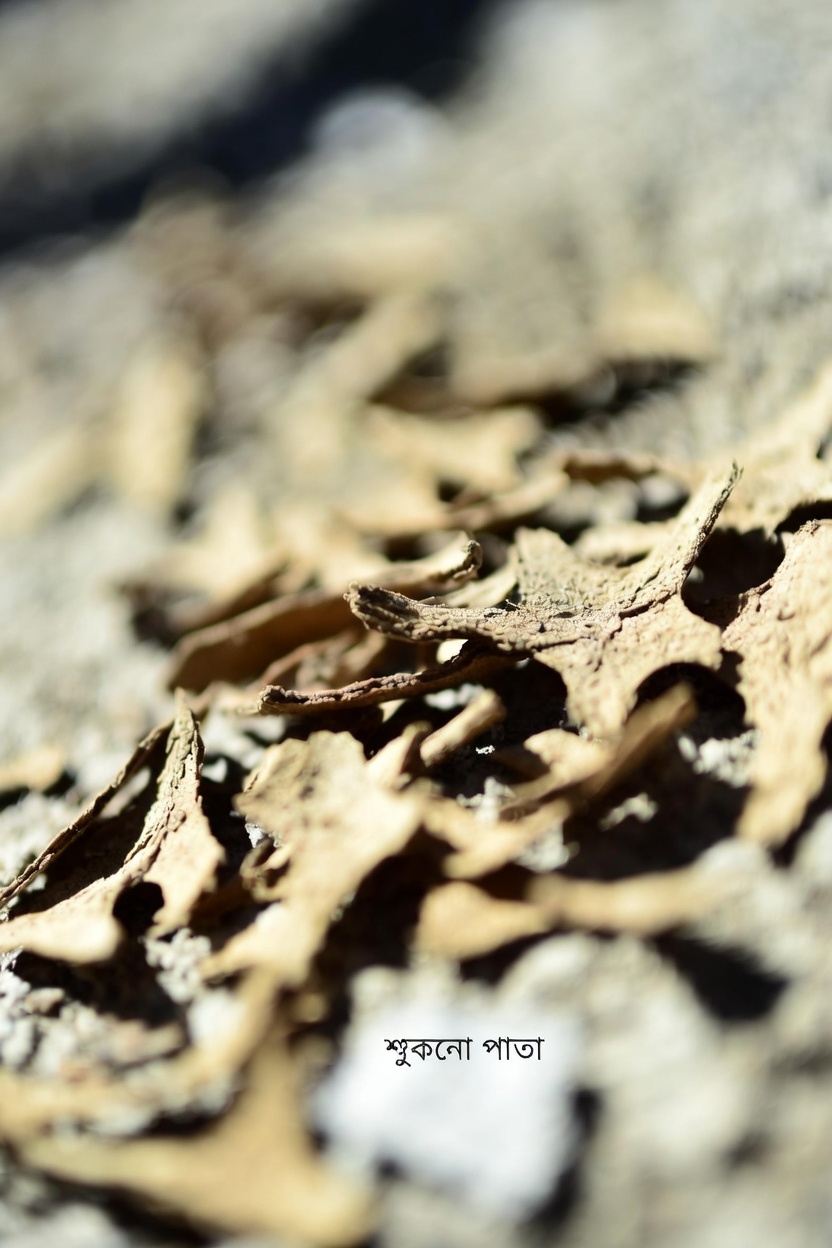 অ্যামলোডিপিন কী এবং কেন এটি পার্শ্বপ্রতিক্রিয়া সৃষ্টি করে?