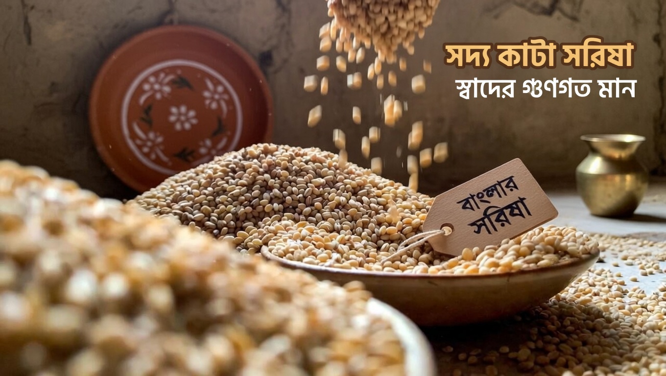 সুস্থ কিডনি সমর্থন এবং প্রাকৃতিক ডিটক্স অভ্যাস বাড়াতে শীর্ষ ৩টি শস্য