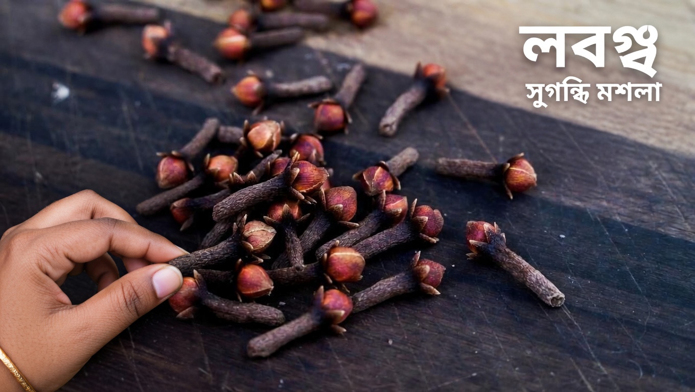 স্বাস্থ্যকর দাঁত বজায় রাখতে এবং প্লাক জমা কমাতে ৯টি প্রাকৃতিক উপায়