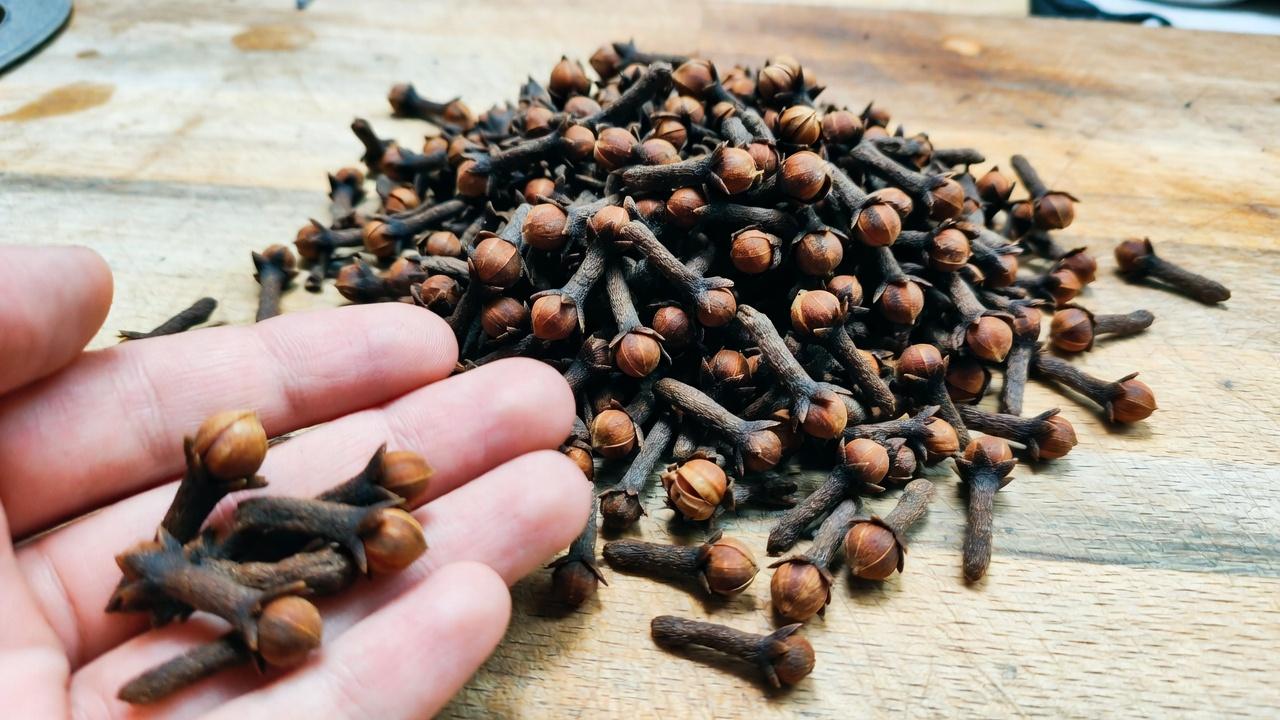 স্বাস্থ্যকর দাঁত বজায় রাখতে এবং প্লাক জমা কমাতে ৯টি প্রাকৃতিক উপায়