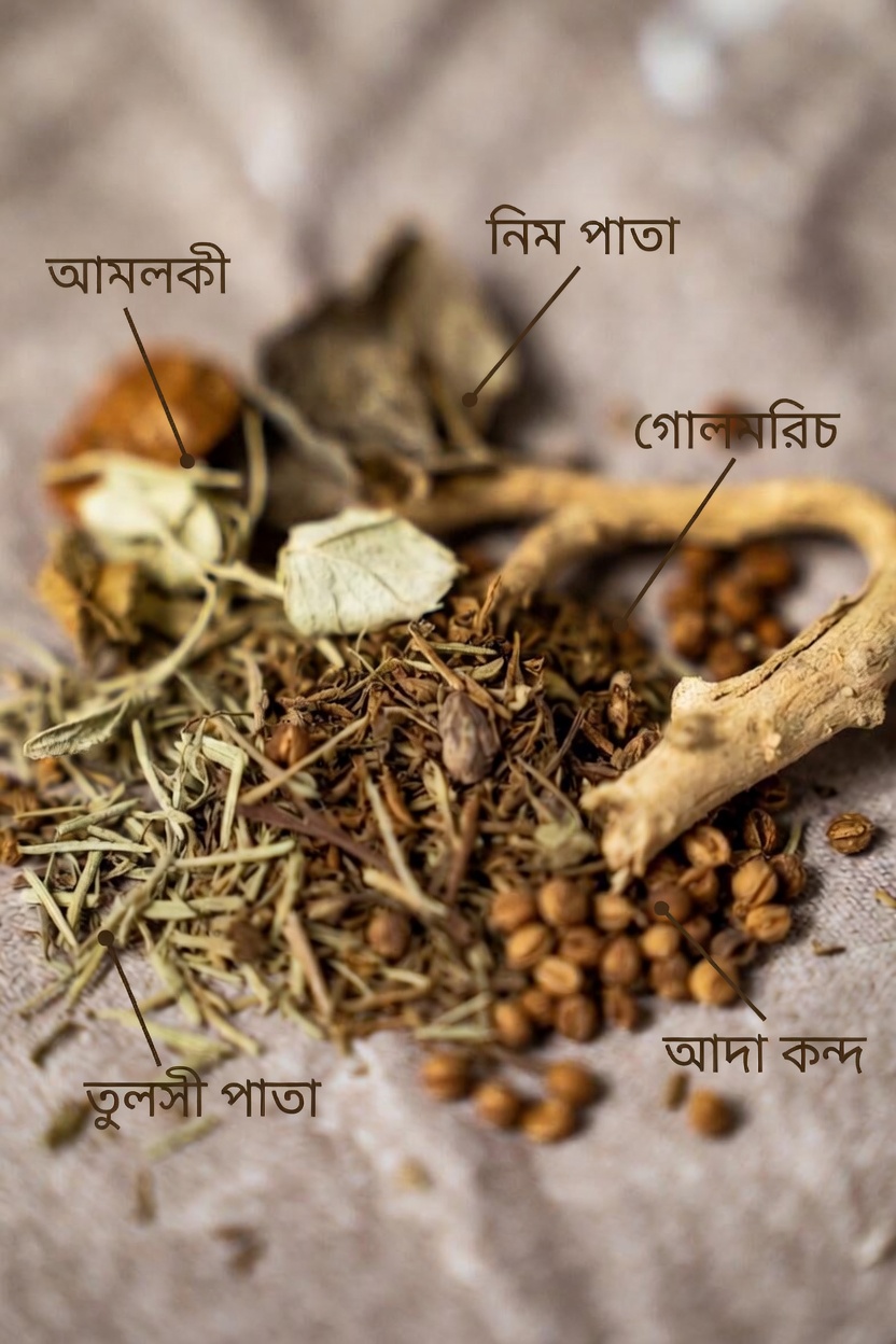 স্ত্রীরোগ বিশেষজ্ঞদের সতর্কবার্তা: পরিচ্ছন্নতার এই ১টি অভ্যাসে বয়স্ক নারীদের গন্ধ আরও খারাপ হয়!