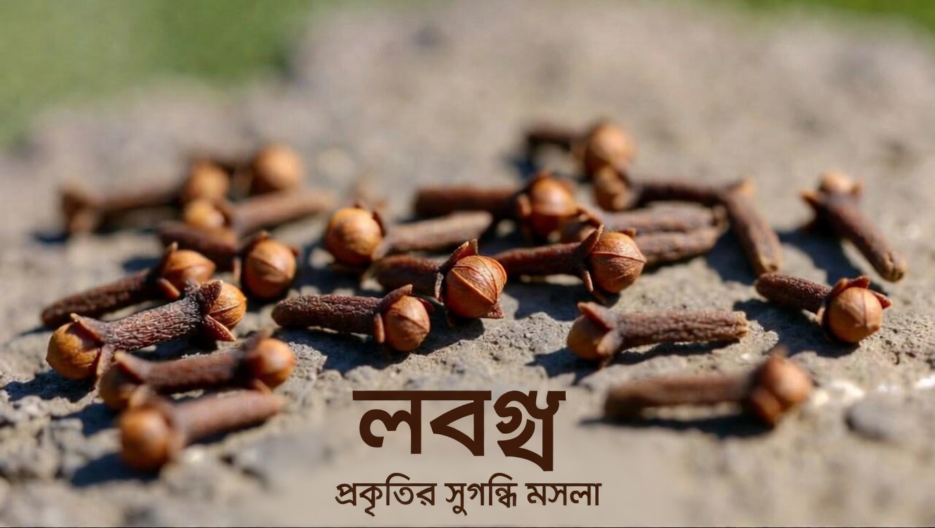 প্রতিদিনের ব্যথা ও পেশীর টান থেকে আরাম পেতে প্রাকৃতিক উপায়গুলি অন্বেষণ করছি