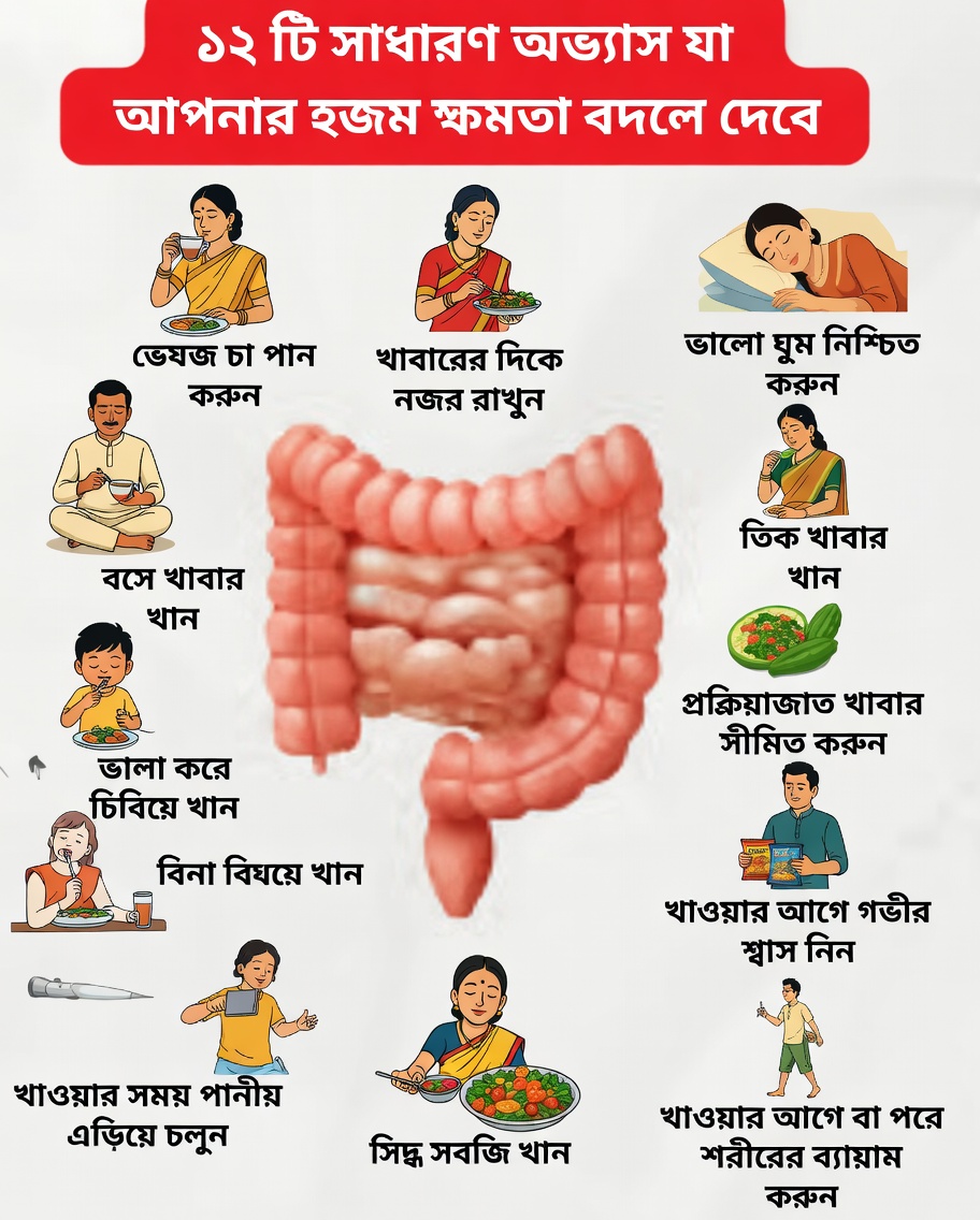 স্বাভাবিকভাবে সুস্থ হজম ও নিয়মিততা বজায় রাখতে সহজ দৈনন্দিন অভ্যাস আবিষ্কার করুন