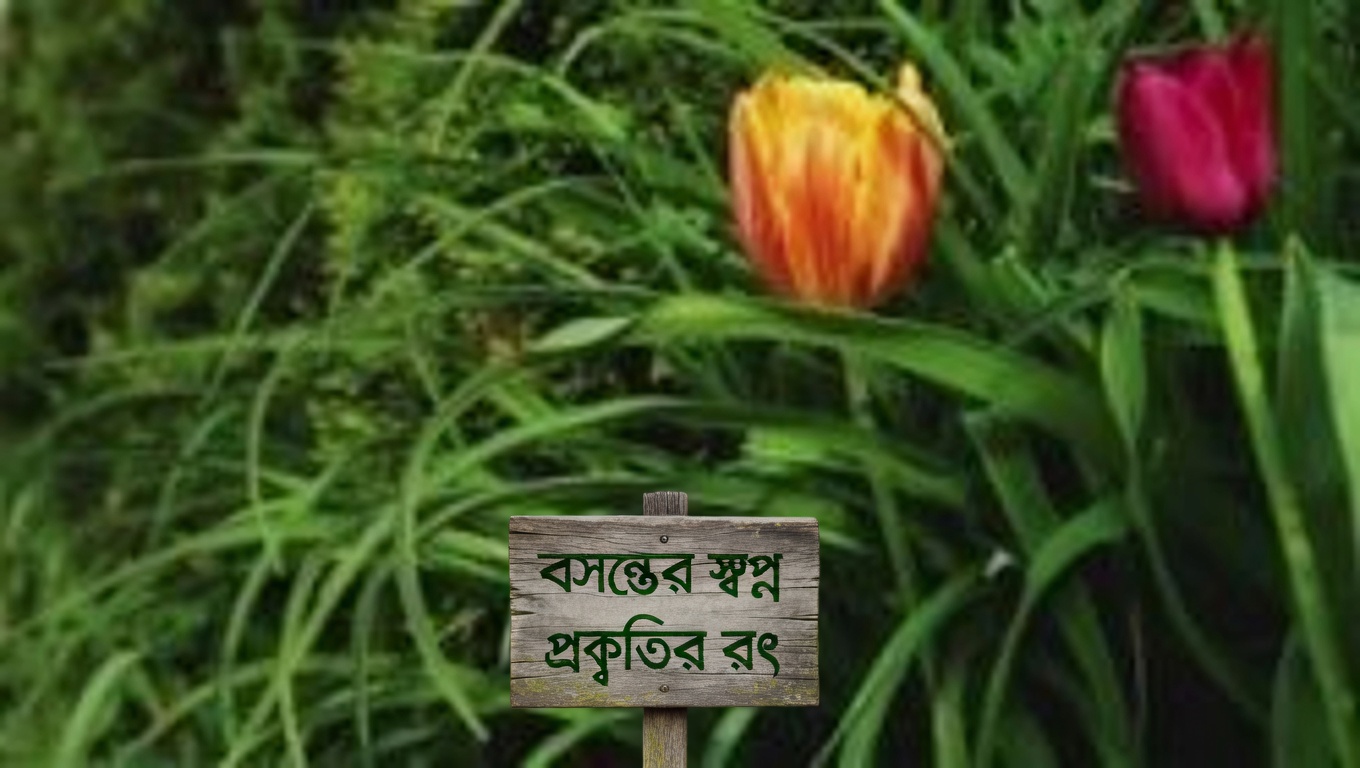 জীবনের অলৌকিক পাতার ১১টি আশ্চর্য উপকারিতা