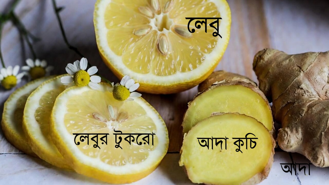 ৪টি সহজ শোবার আগে পানীয়, যা রাতভর কিডনির স্বাস্থ্য ও শরীরের জলীয় ভারসাম্য বজায় রাখতে সহায়তা করতে পারে