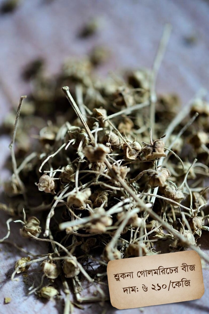 ১০টি সাধারণ ওষুধ যা আপনার কিডনির ক্ষতি করতে পারে এবং প্রোটিনুরিয়া আরও বাড়িয়ে দিতে পারে