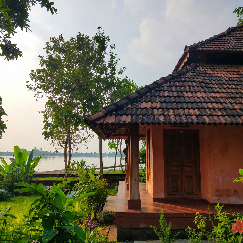 এনার্জি ড্রিঙ্কের প্রভাব হৃদ্স্বাস্থ্যের ওপর