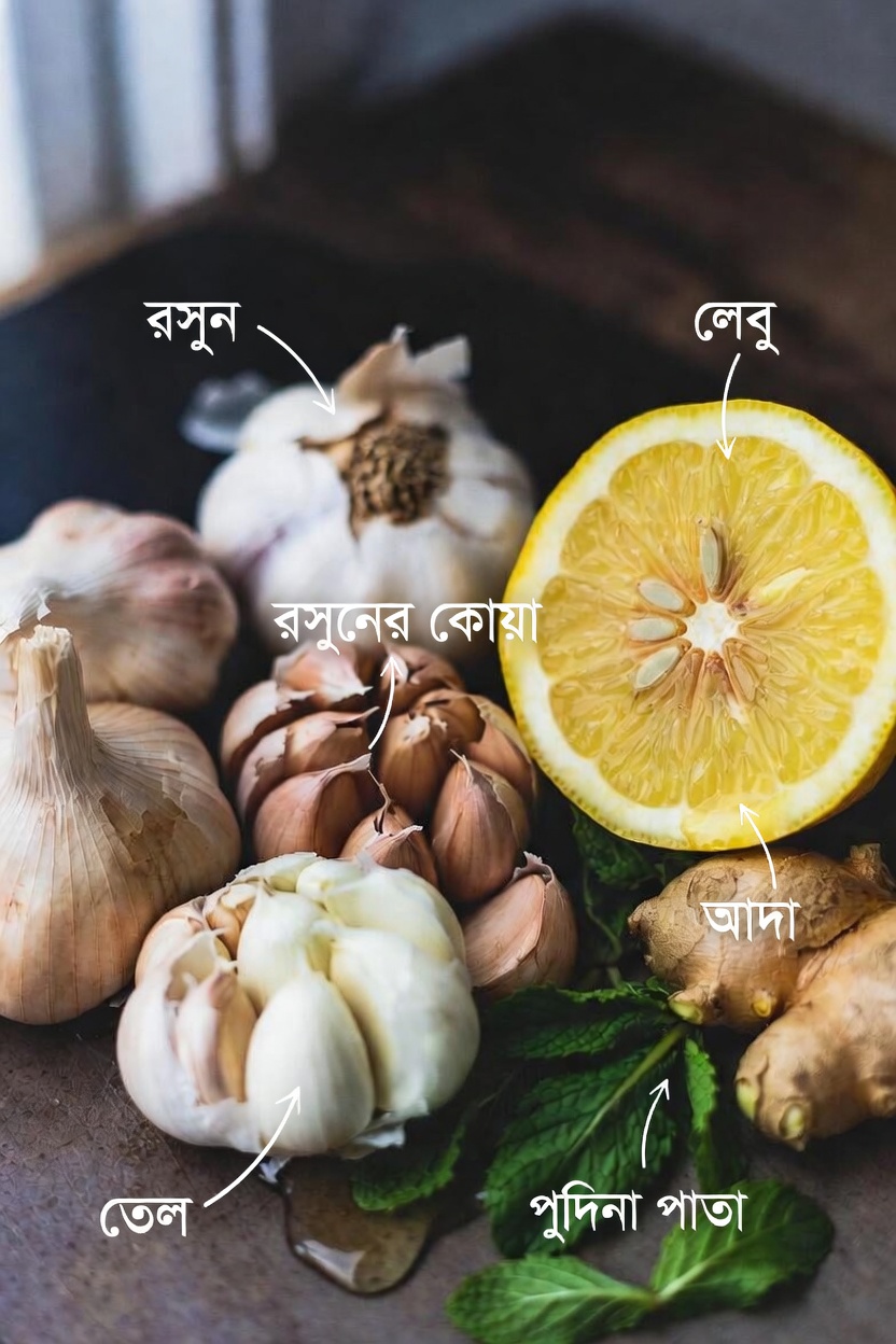 হৃদয়-স্বাস্থ্যকর রক্তপ্রবাহ ও সঞ্চালন সমর্থনে শক্তিশালী প্রাকৃতিক খাদ্যসমূহ