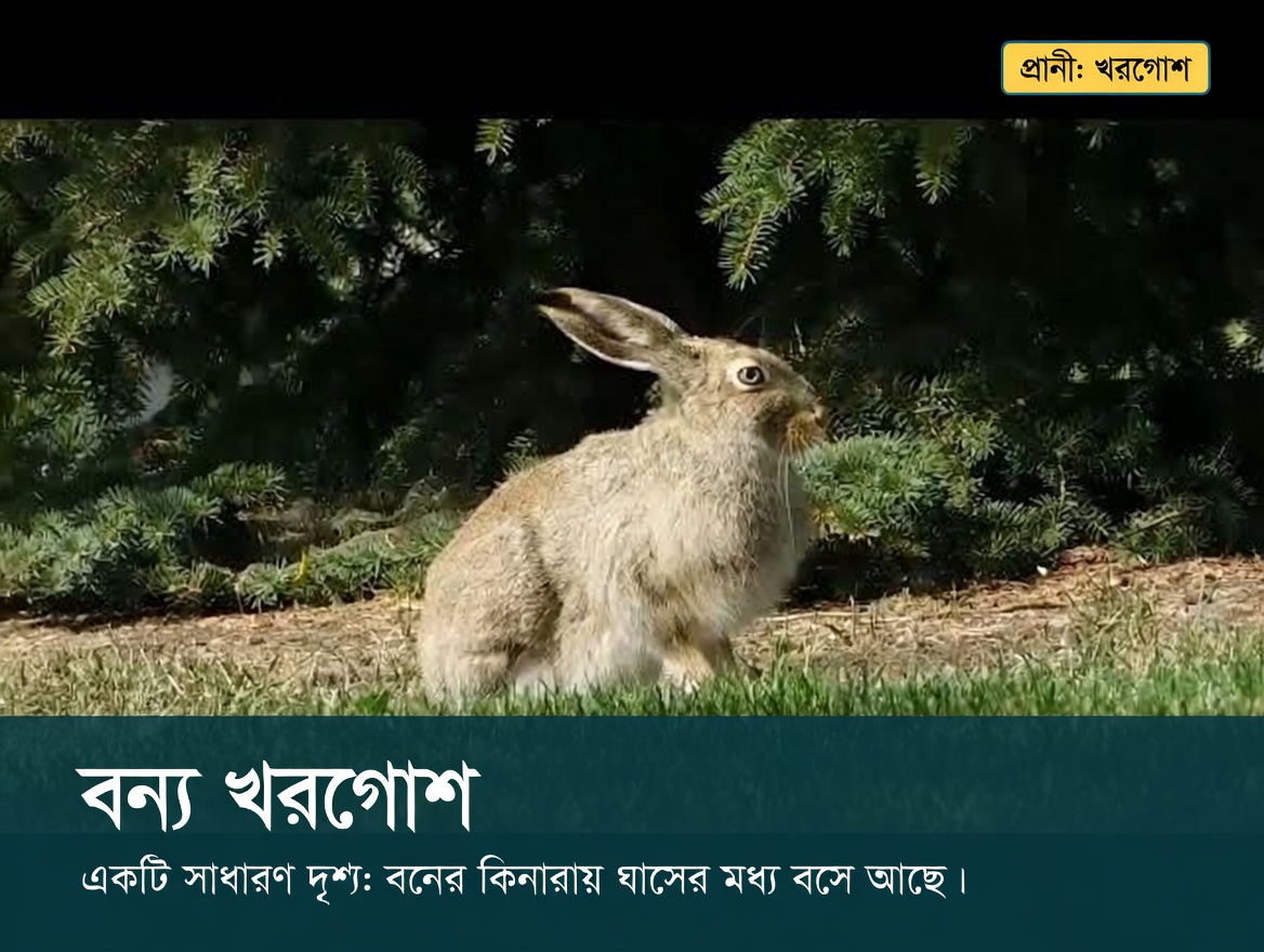 একটানা এক মাস লবঙ্গ ভেজানো পানি পান করুন এবং এই ৫টি পরিবর্তন ঘটবে