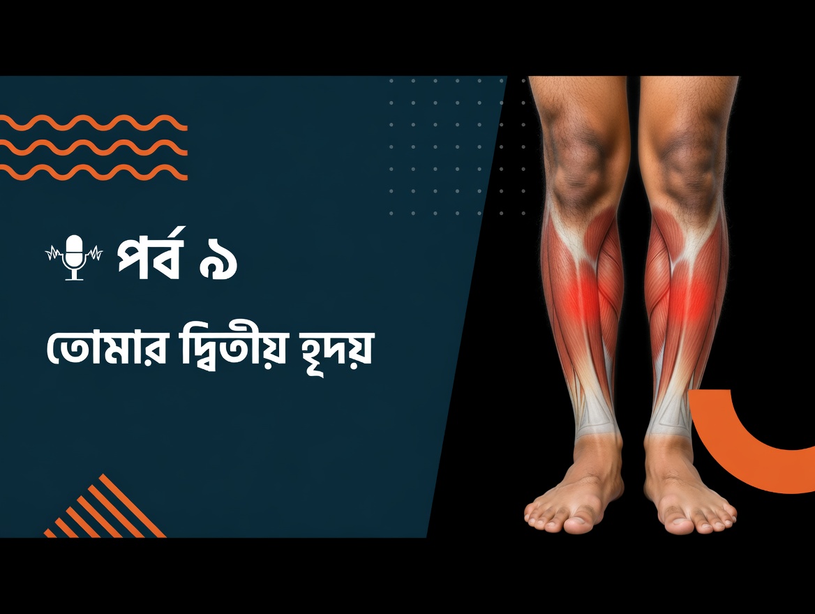 কেন আপনার পায়ের পেশিকে বলা হয় “দ্বিতীয় হৃদয়”