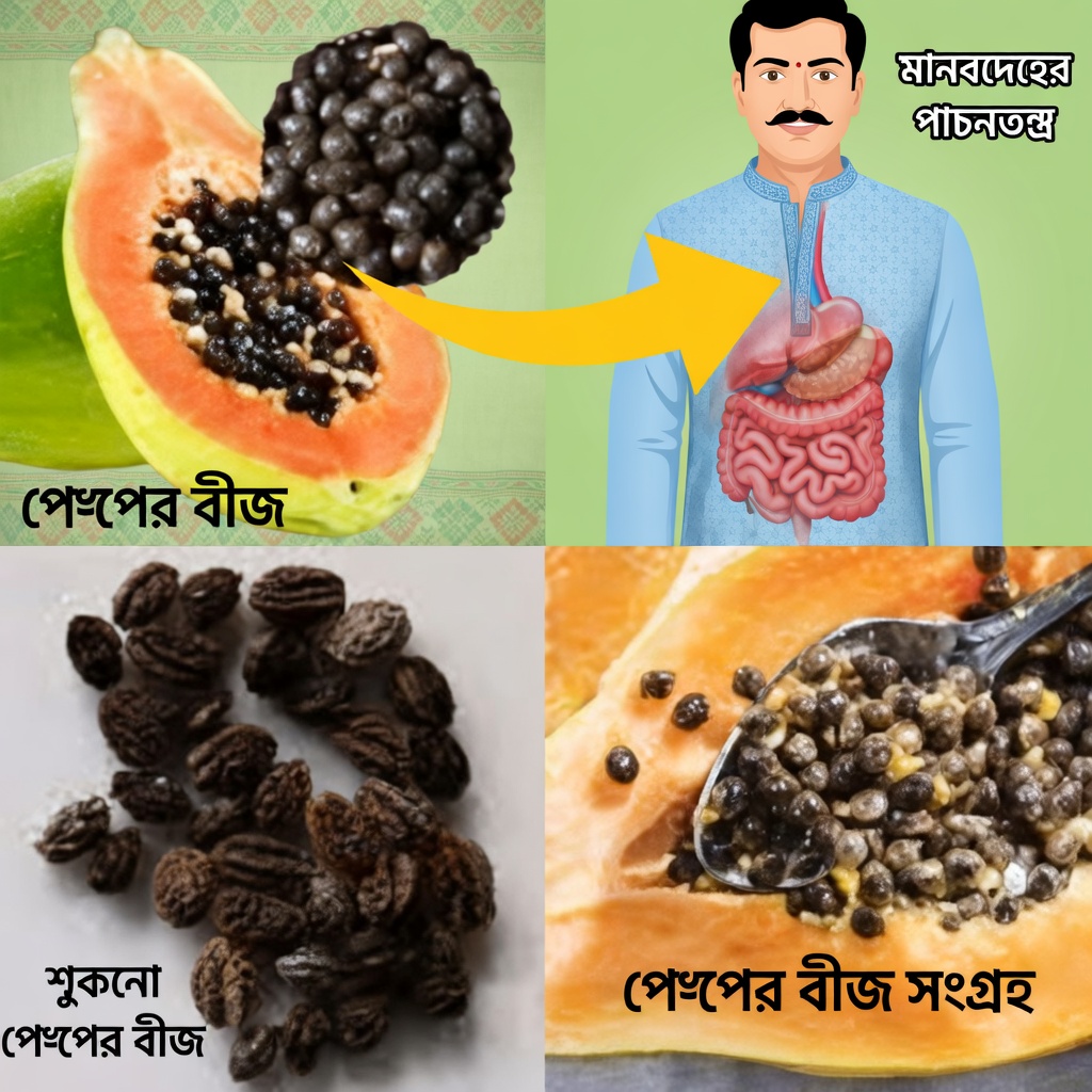 হজমের সুস্থতা ও সামগ্রিক স্বাস্থ্যের জন্য পেঁপের বীজের সম্ভাব্য উপকারিতা অনুসন্ধান