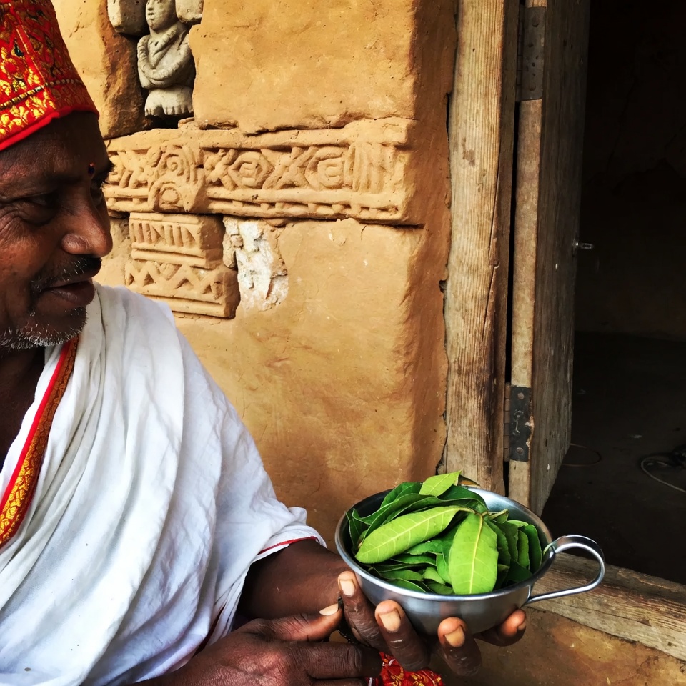 এভোকাডো পাতার উন্মোচন: হজমের আরাম এনে দেওয়া এক চমকপ্রদ গোপন রহস্য