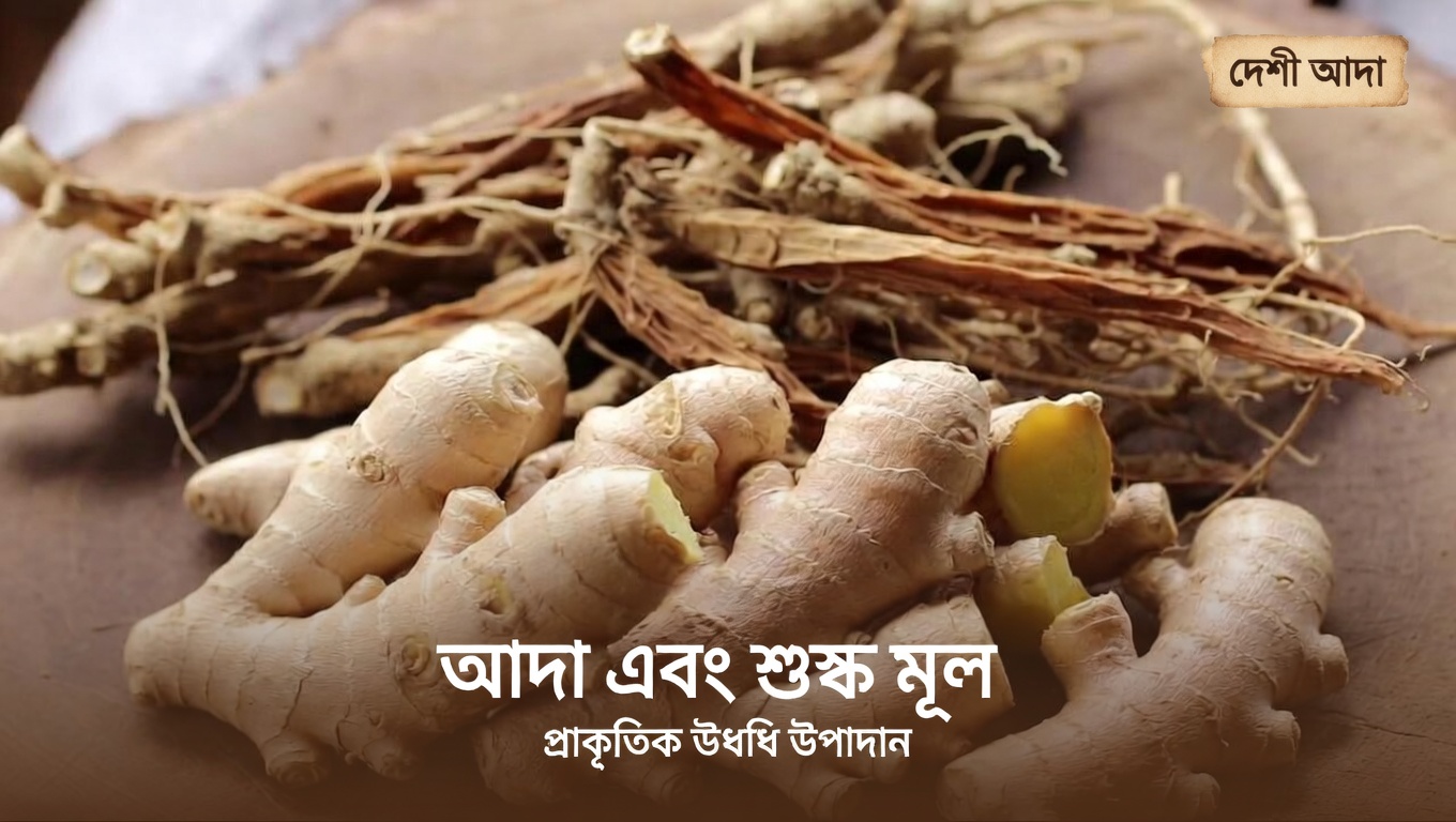 ৬০-এর বেশি? প্রতিদিনের হাঁটায় সুস্থ রক্তসঞ্চালন ও শক্তিশালী পদক্ষেপের জন্য এই ৩টি ভেষজ চা চেষ্টা করুন