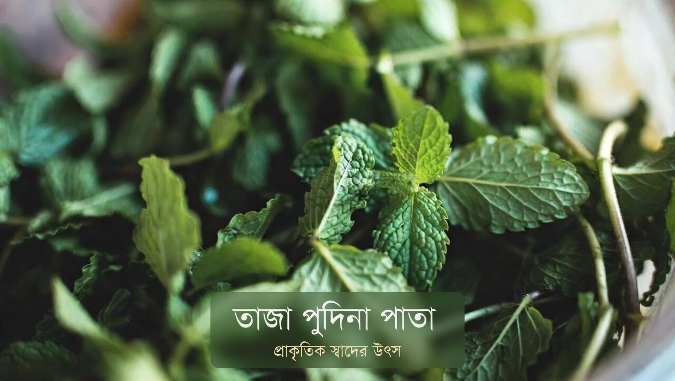 চোখের সুরক্ষায় পুদিনা পাতাকে বিবেচনা করার মতো কেন গুরুত্বপূর্ণ