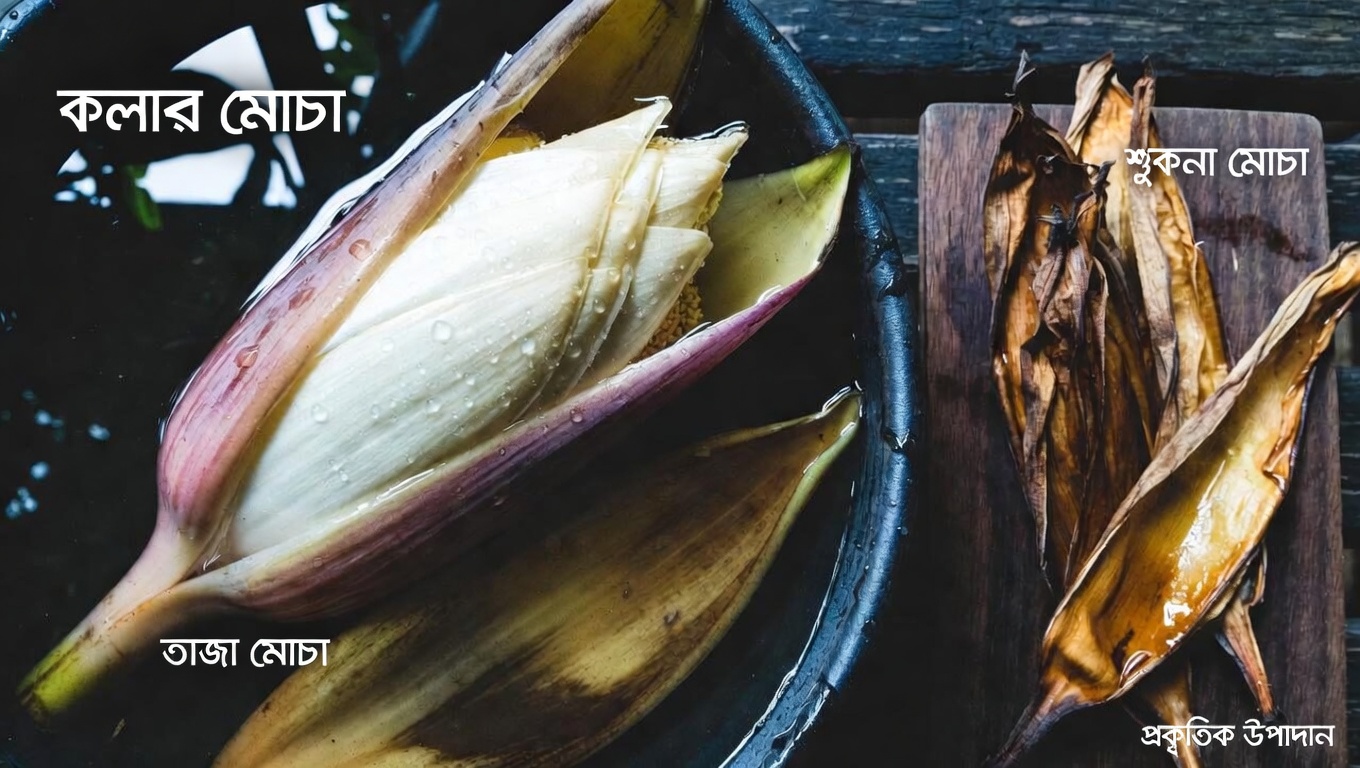 কলা ফুলের পুষ্টিগুণের অনুসন্ধান: ঐতিহ্যবাহী উপাদান নিয়ে আধুনিক আগ্রহ