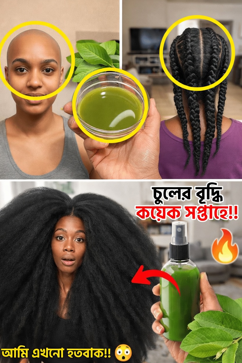 পেয়ারা পাতা কি চুলের স্বাস্থ্যে সাহায্য করতে পারে? সম্ভাব্য উপকারিতা ও ব্যবহার পদ্ধতি অন্বেষণ