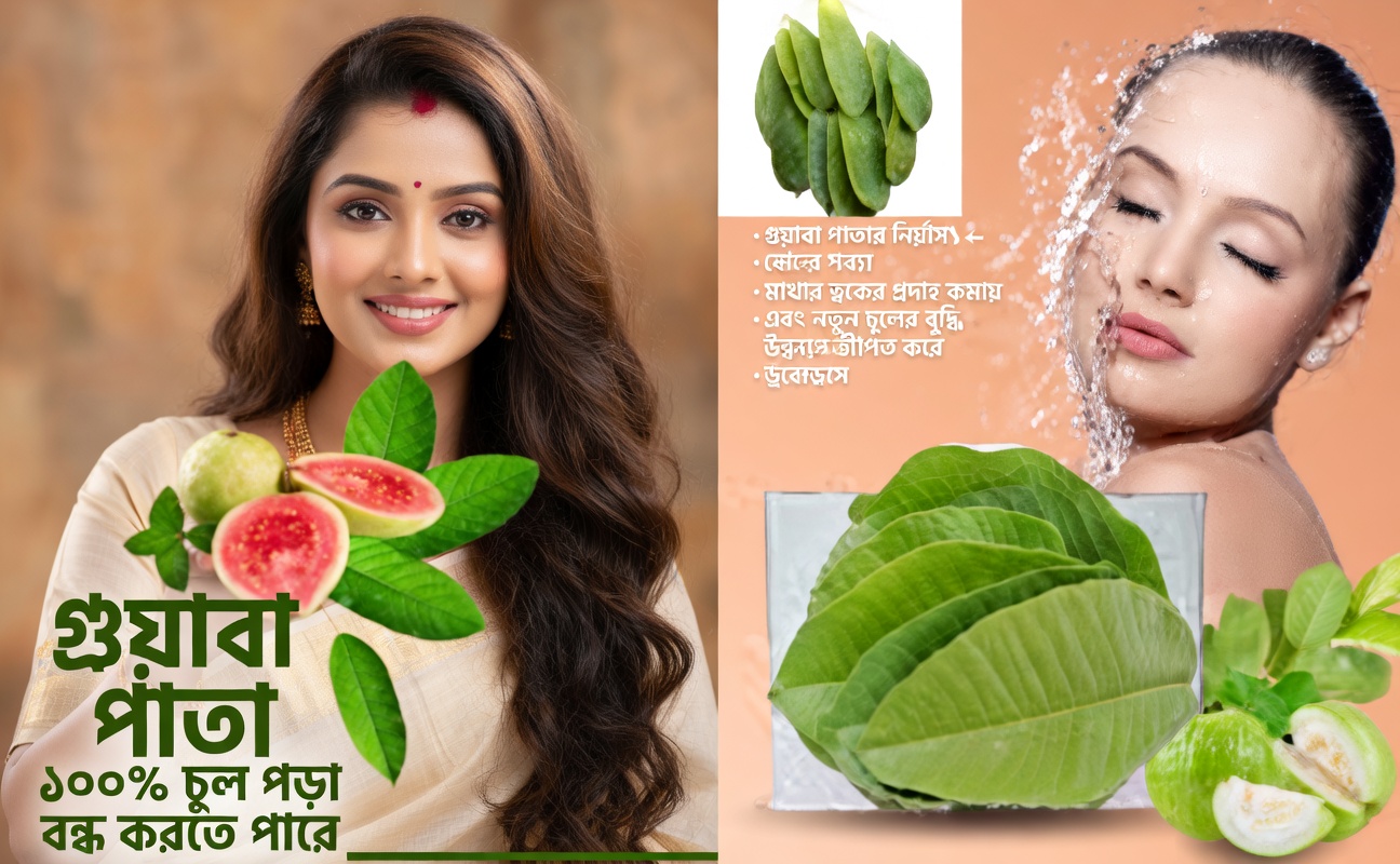 পেয়ারা পাতা কি চুলের স্বাস্থ্যে সাহায্য করতে পারে? সম্ভাব্য উপকারিতা ও ব্যবহার পদ্ধতি অন্বেষণ