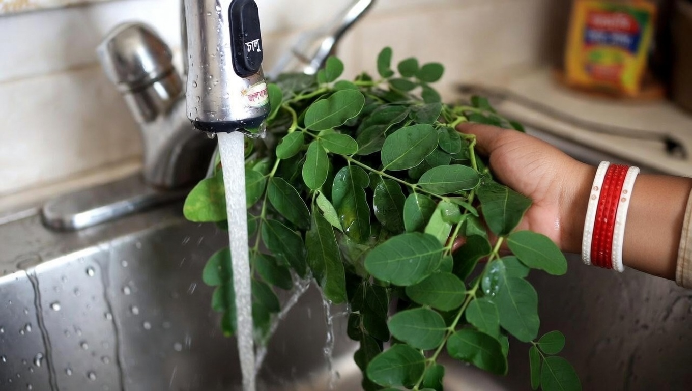 মরিঙ্গা পাতার চায়ের সম্ভাব্য স্বাস্থ্য উপকারিতা অনুসন্ধান: একটি প্রাকৃতিক দৈনন্দিন অনুশীলন