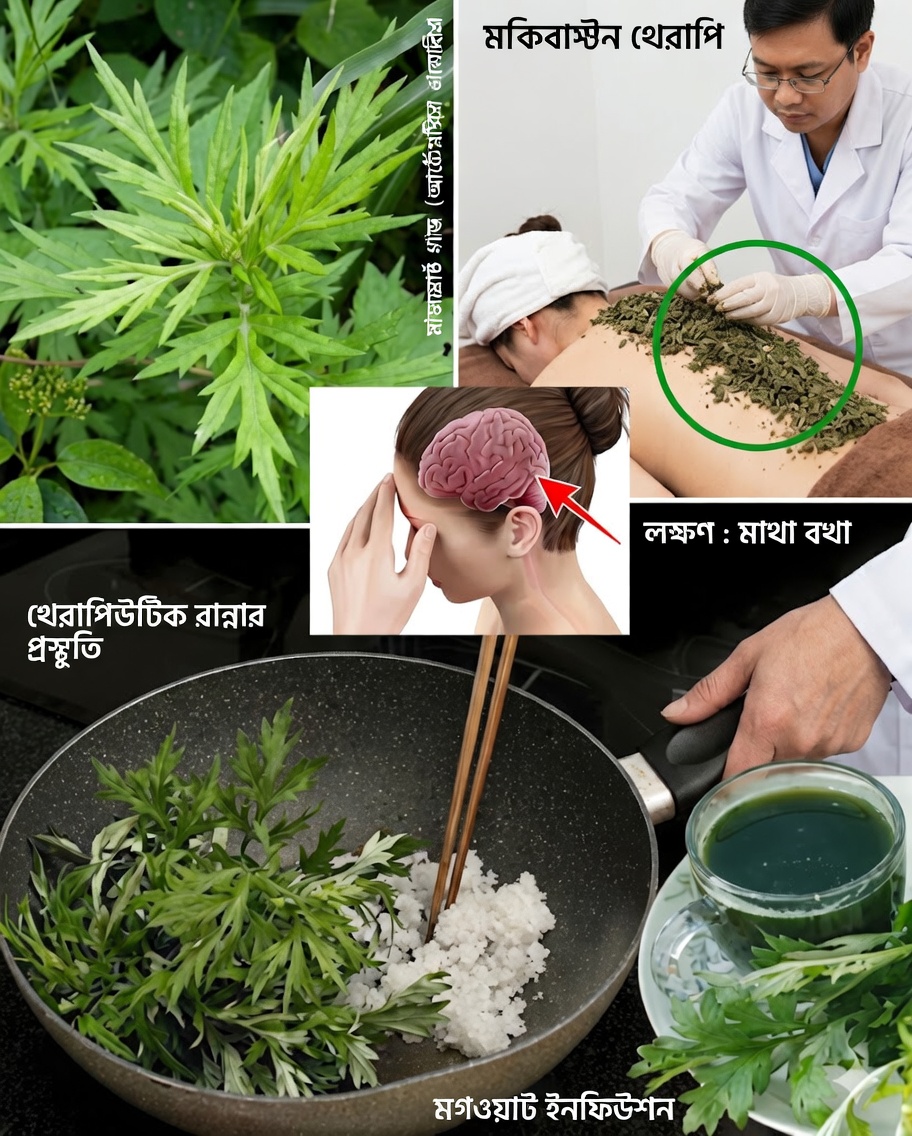 🌙 ভালো ঘুমের জন্য আরমোয়াজ : আরামদায়ক ঘুমের প্রাকৃতিক রহস্য