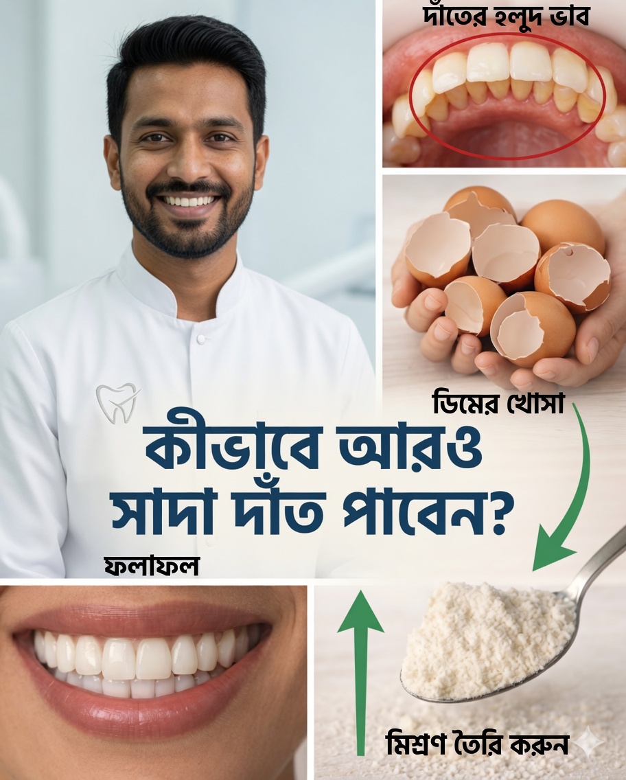 đώ āĻāϰ⧠āĻŦāϏ⧠āĻāĻžāϰā§āĻāĻžāϰ āĻĻā§āϰ āĻāϰ⧠āĻĻāĻžāĻāϤ āϏāĻžāĻĻāĻž āĻāϰāĻžāϰ āĻĒā§āϰāĻžāĻā§āϤāĻŋāĻ āĻā§āĻĒāύ āϰāĻšāϏā§āϝ