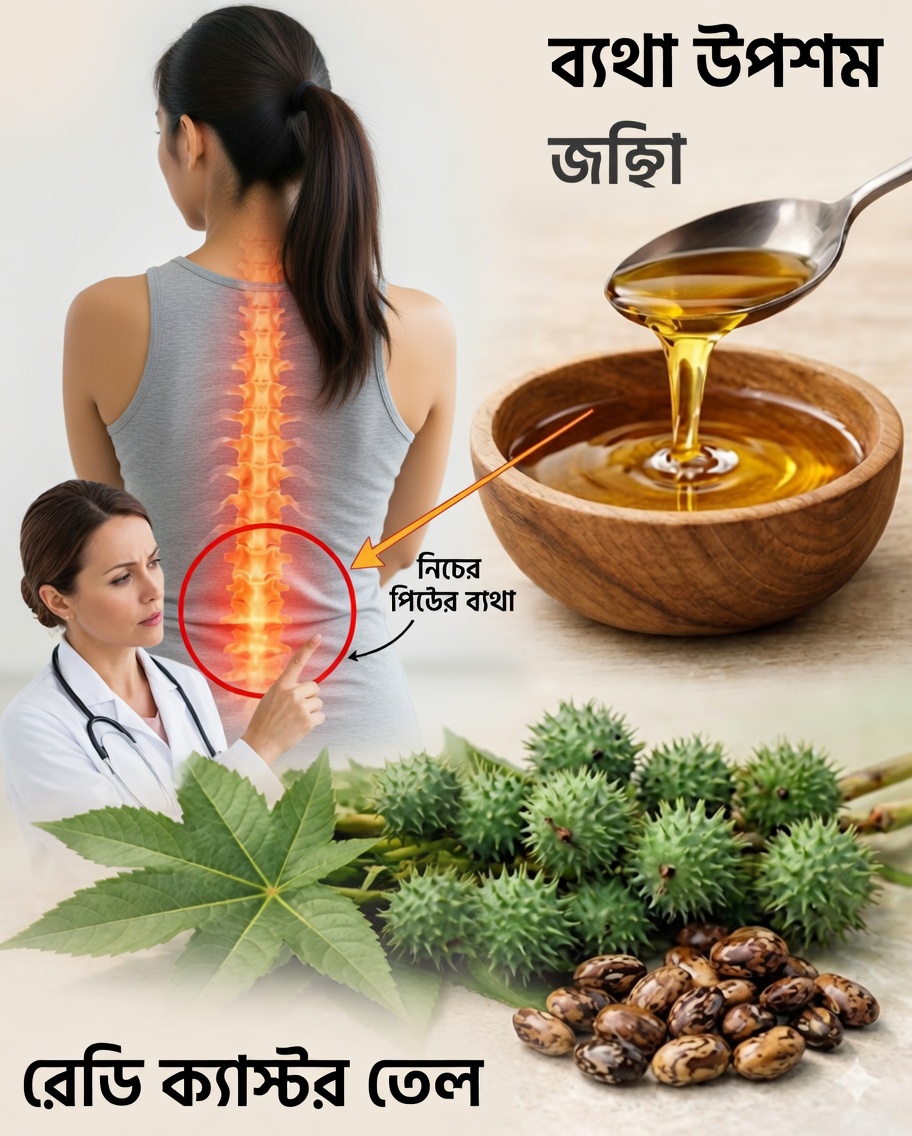 এরণ্ড গাছ: ঘরোয়া প্রতিকার ও স্বাস্থ্যের জন্য বিস্ময়কর উপকারিতা