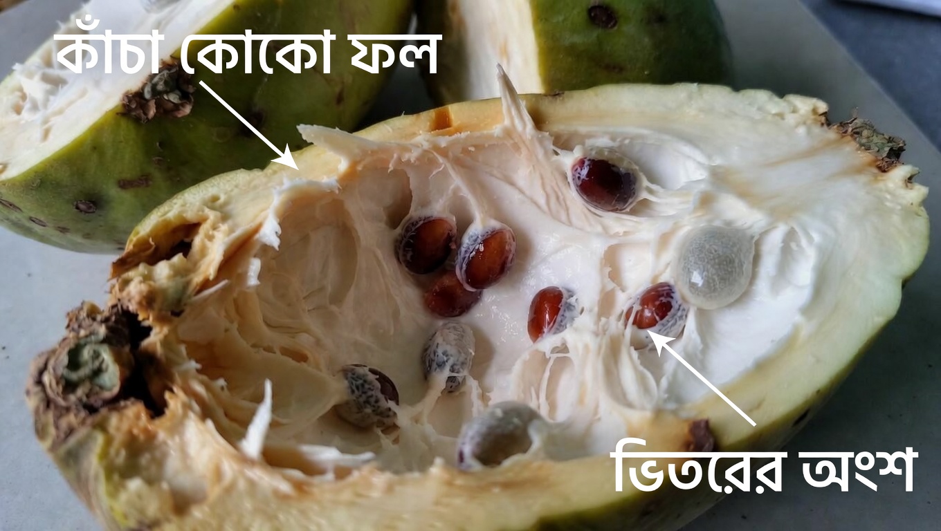 চেরিমোয়া: বয়সের পরের বছরে ভালো অ্যান্টিঅক্সিডেন্ট সহায়তার জন্য এই ক্রিমি উষ্ণমণ্ডলীয় ফলটি উপভোগের ১০টি সহজ উপায়