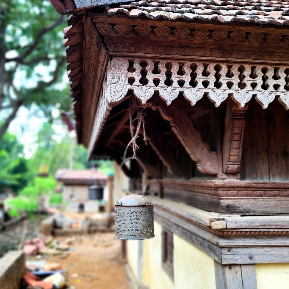 খেজুর দিয়ে অন্ত্র পরিষ্কার: প্রাকৃতিক ডিটক্স কৌশল