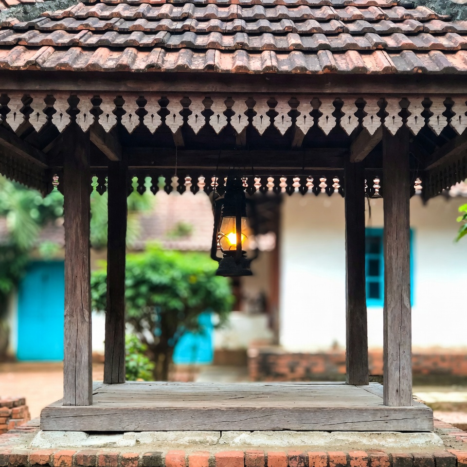 এই স্বাস্থ্য সমস্যাগুলো থাকলে আদা এড়িয়ে চলুন