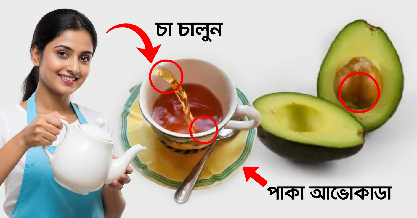এভোকাডোর বিচির চা: উপকারিতা, প্রস্তুত প্রণালি ও কীভাবে পান করবেন