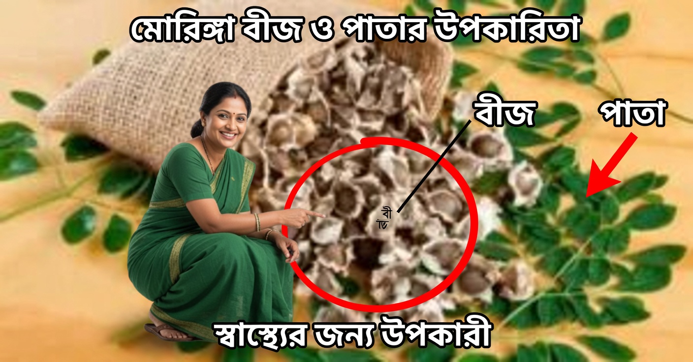 মরিঙ্গা বীজ: যকৃত পরিষ্কার করে এবং কোলেস্টেরল কমায়