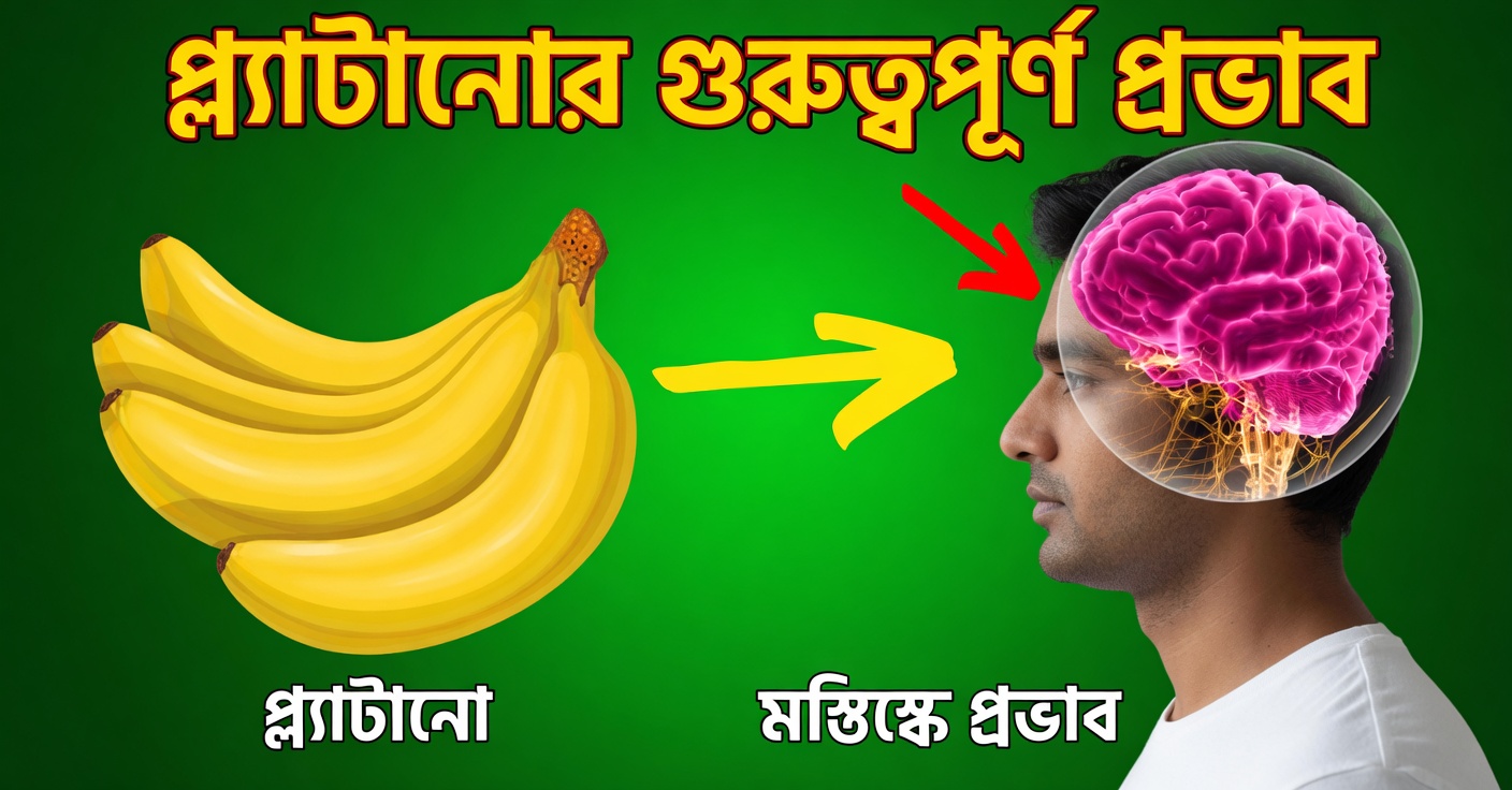 প্রতিদিন ২টি কলা খাওয়া: আপনার স্বাস্থ্যের জন্য বিস্ময়কর উপকারিতা