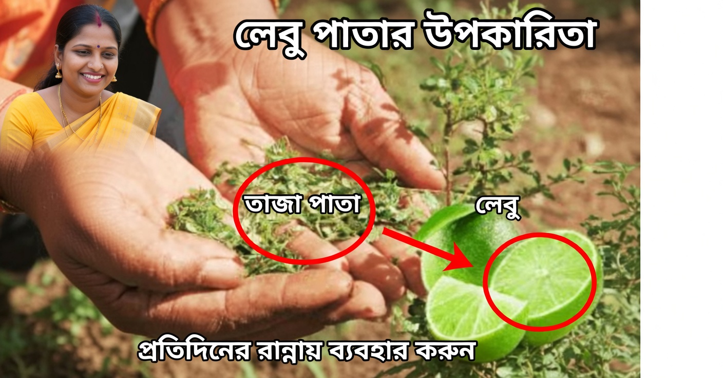 স্বাস্থ্যের জন্য ওরেগানো ও লেবু