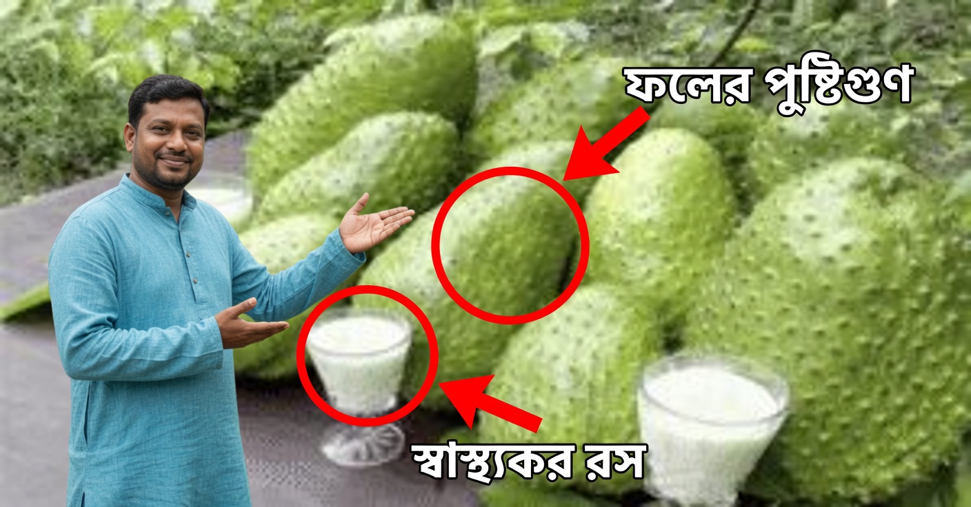 ক্যান্সারের বিরুদ্ধে গুয়ানাবানা: রেসিপি ও উপকারিতা