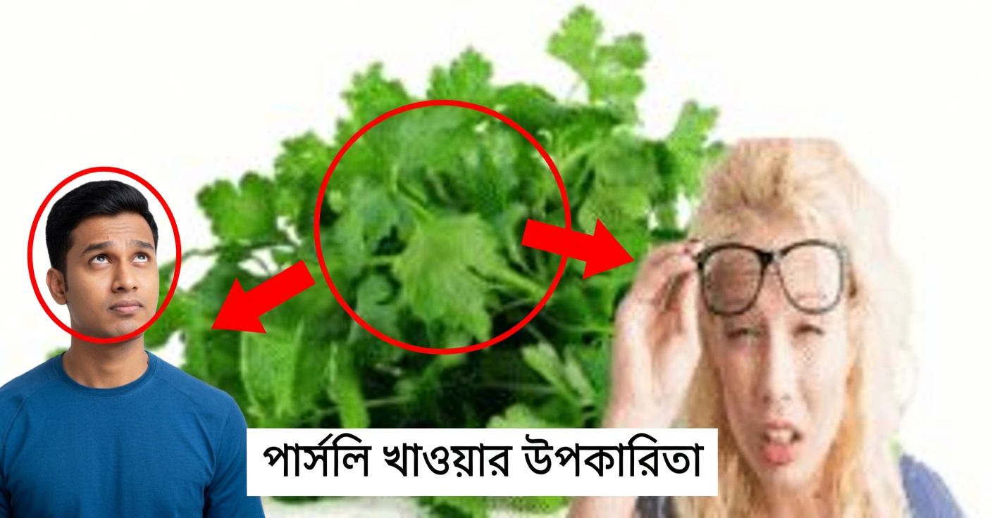 দৃষ্টিশক্তির জন্য পার্সলে: কার্যকর প্রাকৃতিক প্রতিকার