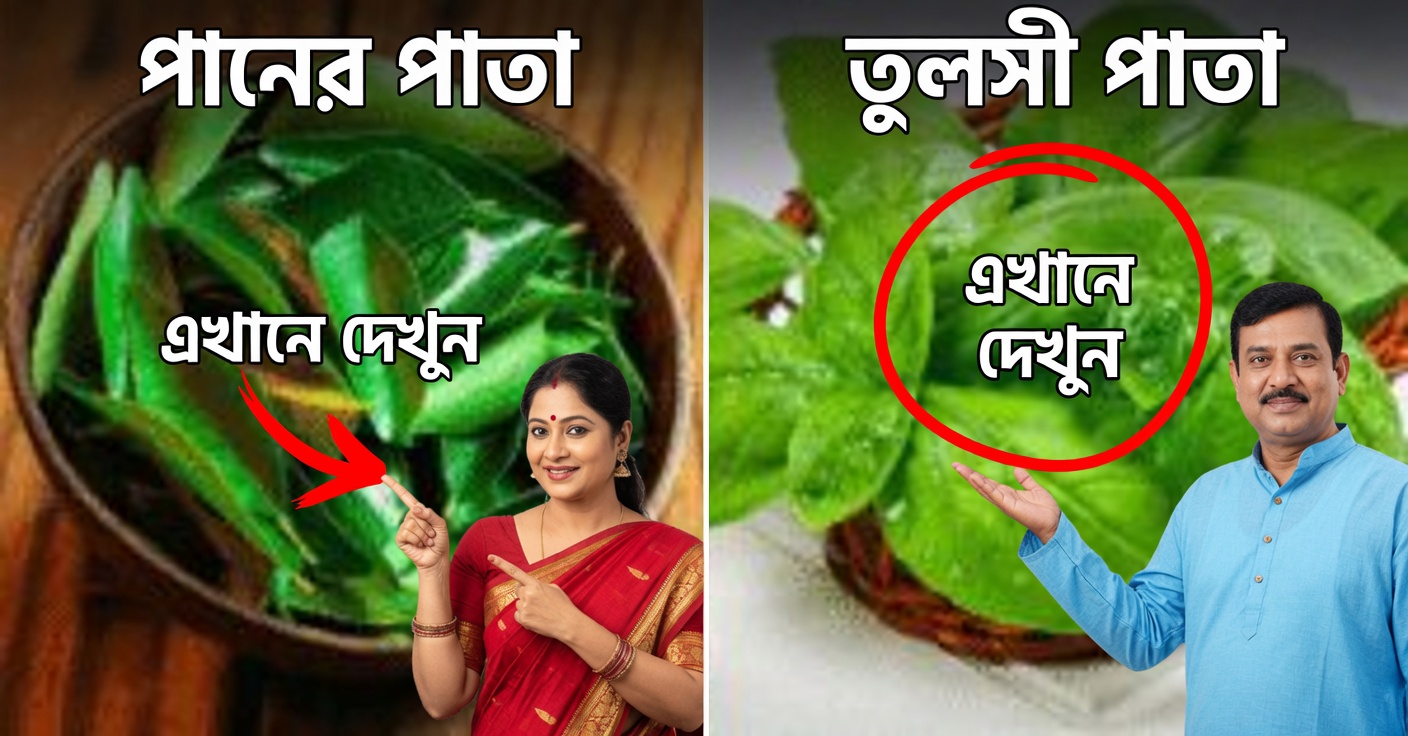 দৃষ্টিশক্তির জন্য ঔষধি পাতা: আপনার চোখের স্বাস্থ্যের জন্য অপরিহার্য