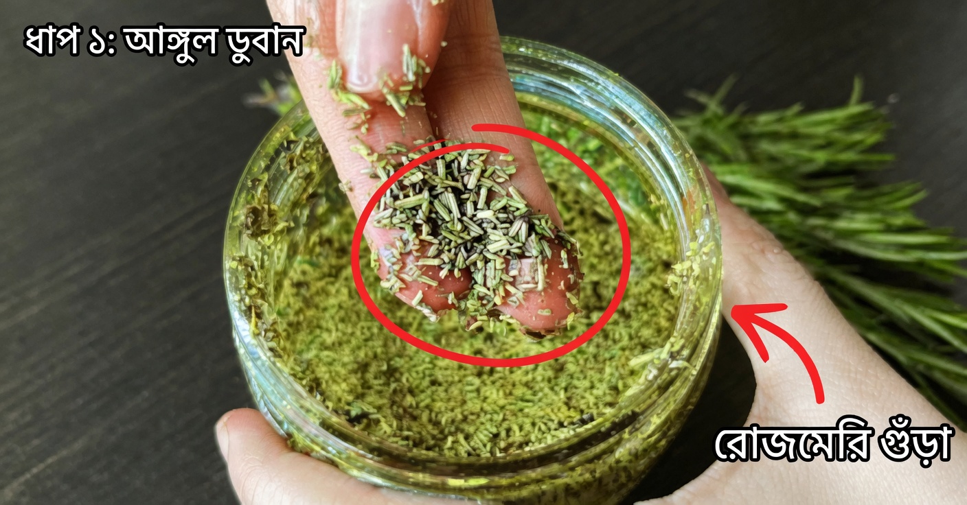 চুলের জন্য রোজমেরি ও জলপাই তেল: বৃদ্ধি ও উজ্জ্বলতা